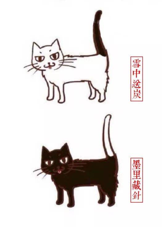 Out了，原来花色不同的猫，还有这么多叫法...