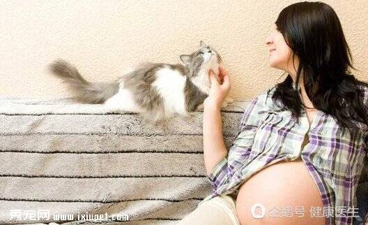 外国女人怀孕都要养宠物，不为别的，只因做到这一点！