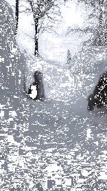 猫正在雪地里跑，突然从上方窜出一只猫，以为会撞上，没想到...