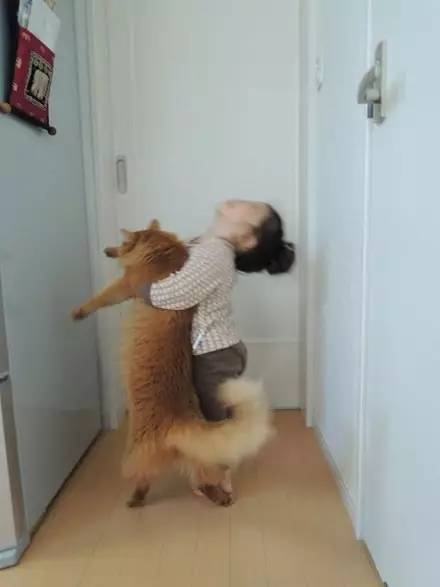 猫咪总被小主人熊抱，眼神一脸嫌弃，下一秒却...