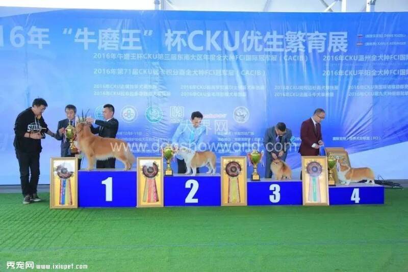 CKU东南大区年度冠军展成绩快报