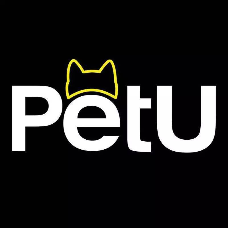 招募｜掏出你的才华，搞大PetU！