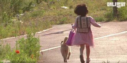 家人不准养宠物，小女孩每天偷带流浪狗回家，还跟它说：小声点不然会被发现！