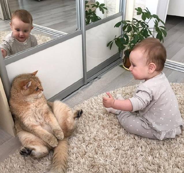 大猫猫遇上小baby，态度超可爱，表情很无耐