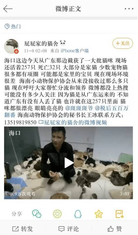 海南省海岸警察截获300多只待宰猫咪