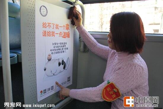 郑州公交车厢里有一群“宠物狗” 扫码可以领养