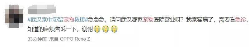 宠物医院也是生命通道，请给重急诊猫狗留一条活路