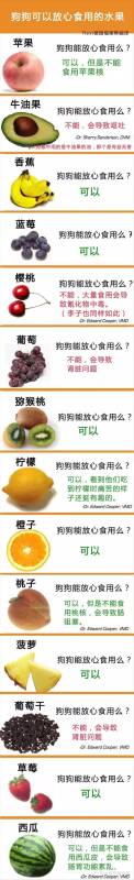 哪些水果狗狗可以吃呢？