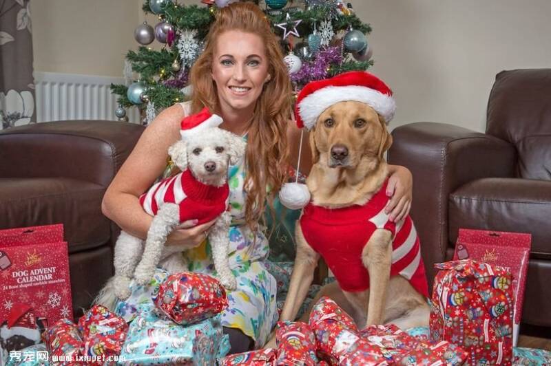 国外女子为狗狗准备一万多圣诞礼物比给男友的贵!