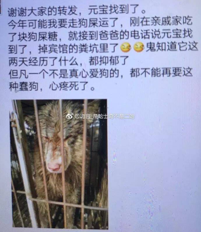 据说，家里养了败家狗子的，都有过这样的经历....