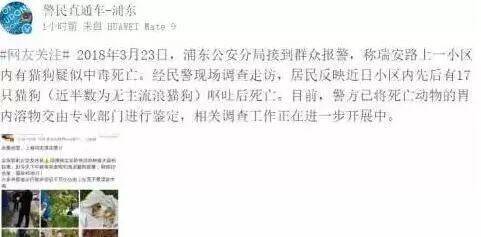 “上海连环毒狗案”的凶手才15岁！？而投毒原因竟然是...