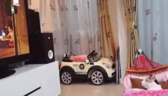 猫咪每次都会在门口迎接主人，可是自从买了新床，一切都变了…