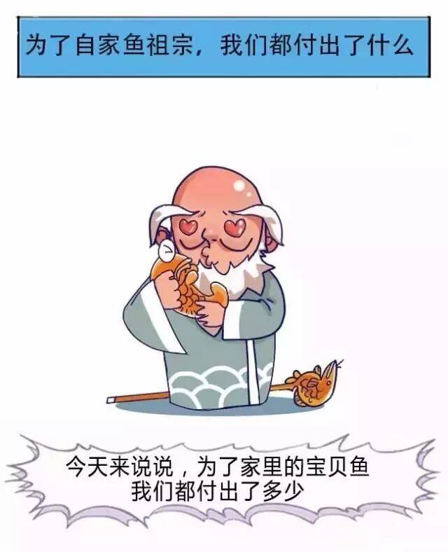 为了自己鱼祖宗，我们都付出了什么