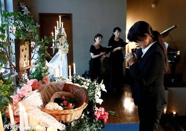 日本宠物殡葬体系超完善 还有专门的动物陵园