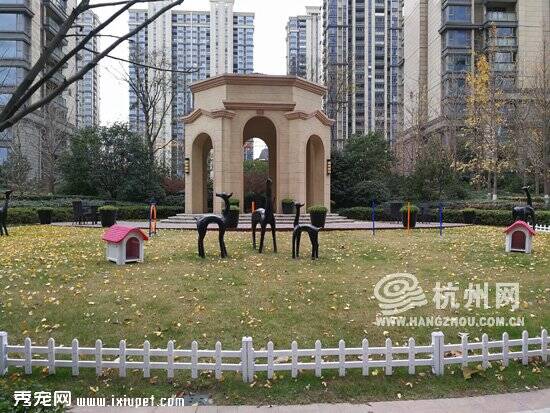杭州萧山区开元广场小区为宠物开了一个乐园