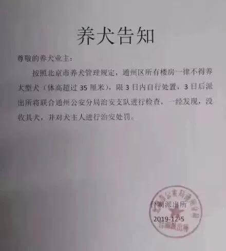 北京通州禁养条例出台，宠物医院安乐死排起了长队