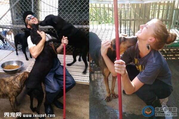 两位美国志愿工主动清理狗园与狗狗十分亲密