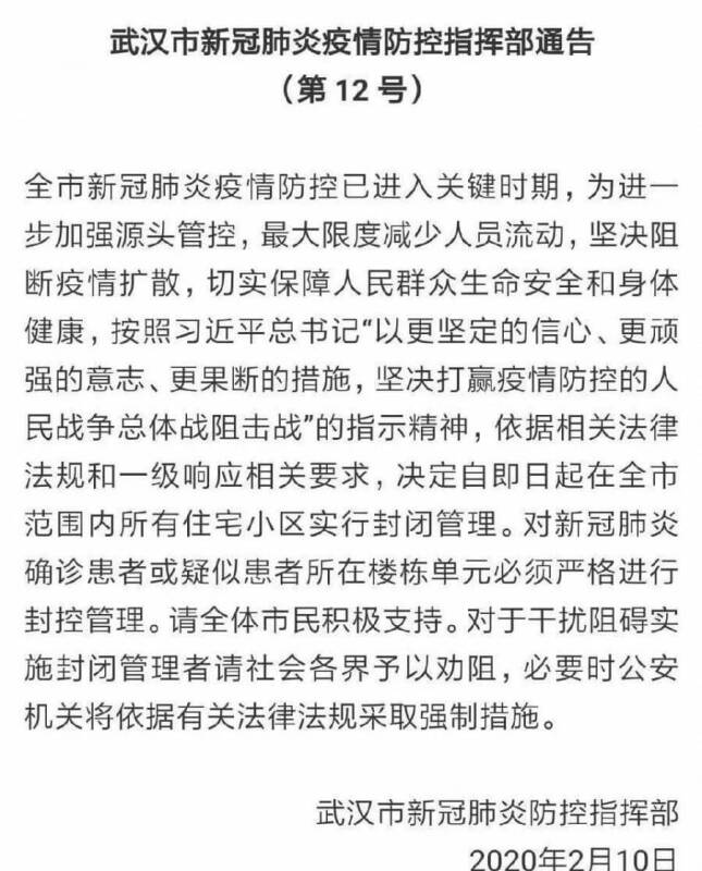 留守动物只能饿死?看这些可爱而坚毅的面孔