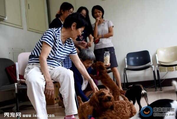 非法繁殖场汪星人陪伴失智长者