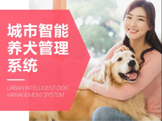 城市智能养犬管理系统专家—纳九物联