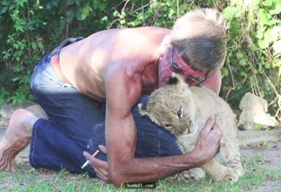 狮子和老爷爷之间的真挚友谊