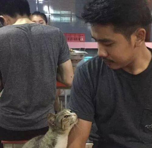男子在吃饭，旁边来了一只猫，他摸了下没给吃的，结果猫的表情...