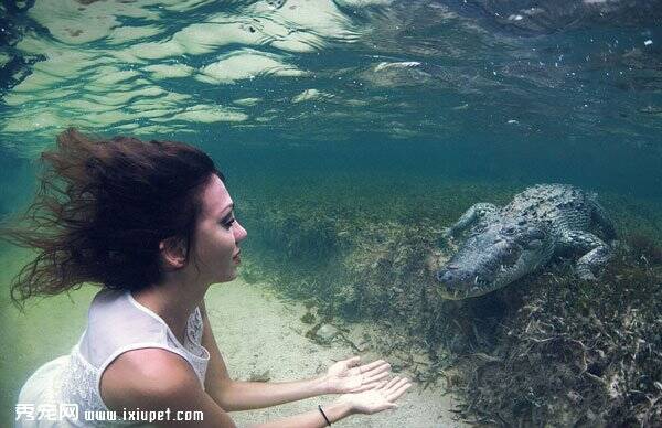 请勿模仿|意大利美女模在水下与美洲鳄接触嬉戏【图】