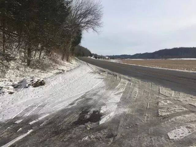 流浪狗以“雪地为床，垃圾袋为被”，求求你们带“我”回家！