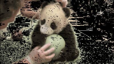 你们要干嘛要干嘛，这是我的，不许抢....