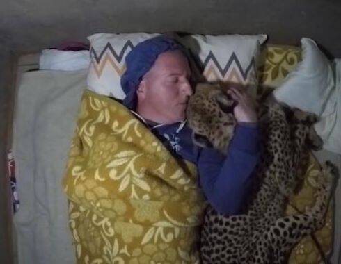 猫咪每天都要跟主人一起睡觉，仔细一看，这货不是猫吧