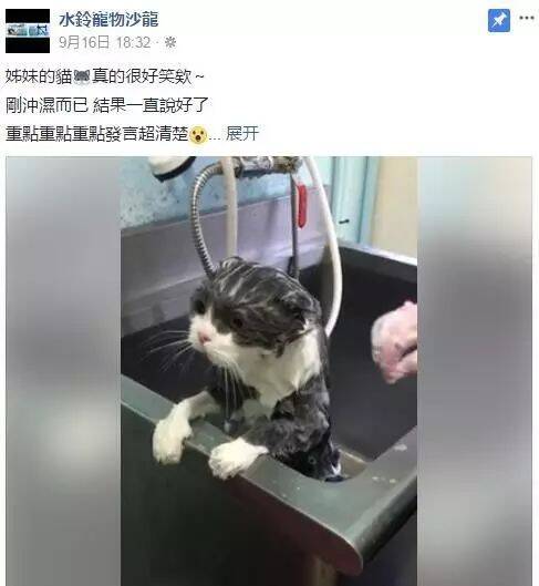 猫被带去洗澡，死命挣扎，结果一进浴缸，这....