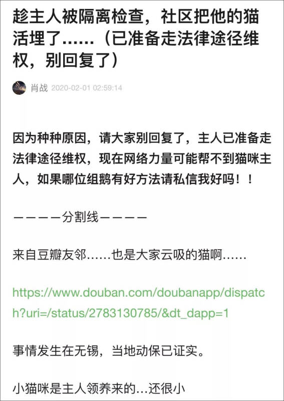 主人被隔离检查，社区把猫活埋了！