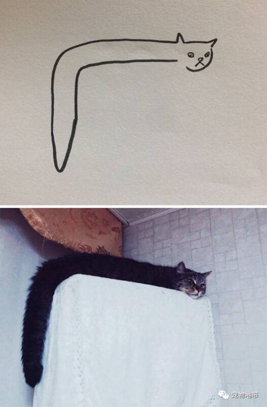 超现实主义艺术家画的猫......看到第一张宠编就笑喷了