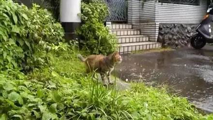 最美的不是下雨天，是曾与你躲过雨的屋檐~~~