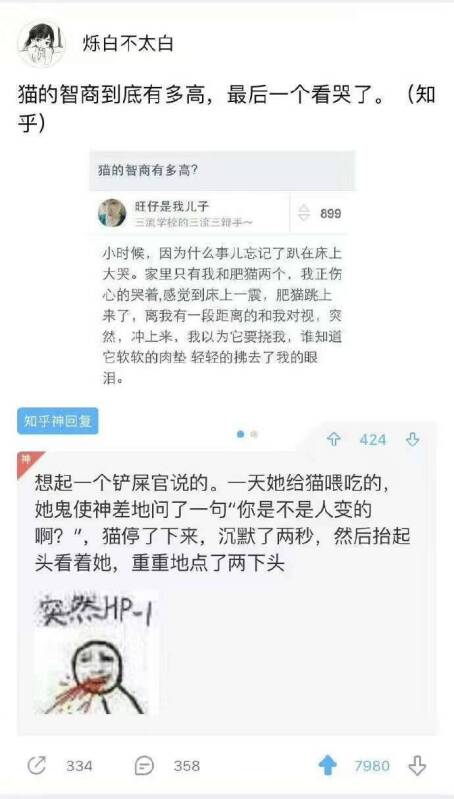 好吧好吧，我养的是猫，你们养的都是猫妖！