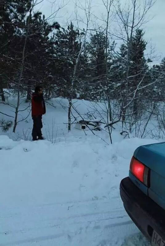 雪地里俩猫咪在泡沫箱中瑟瑟发抖，幸遇好心过路人