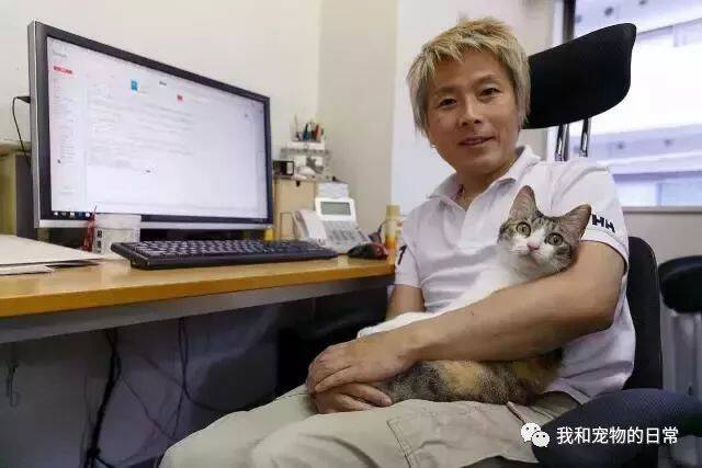 老板鼓励员工带猫来上班，养猫还有补贴，简直就是工作的减压神器！