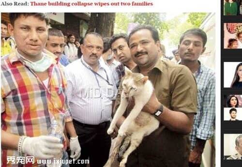 印度六十岁老人舍命救下猫咪