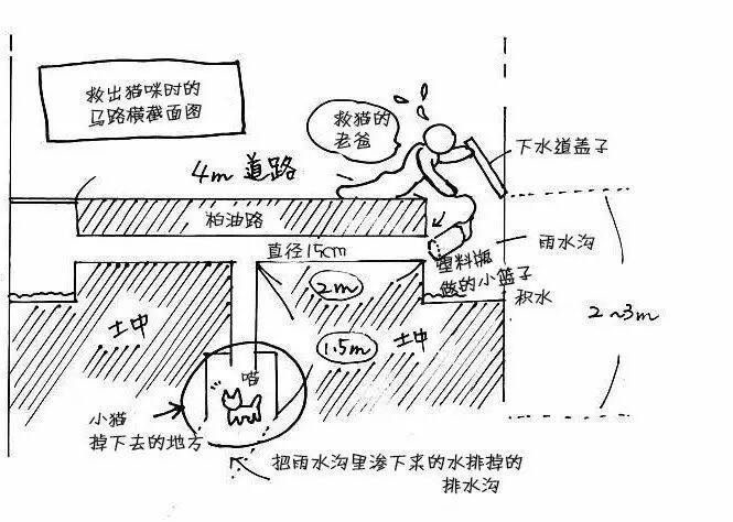 花费9天时间，大爷终于从狭小的下水道救出小奶猫...