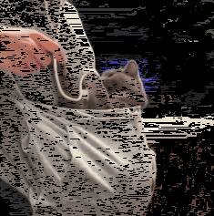铲屎官买了件猫兜卫衣，家里的猫主子完全化身成为腰部挂件！