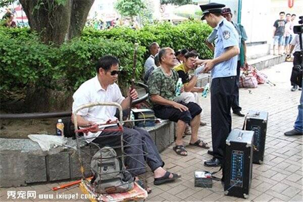 南宁市将整治生活噪声扰民，夜市宠物装修包括在内！