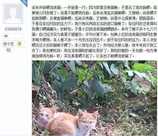 喂流浪猫却被质疑猫粮太便宜，猫粮越买越贵，最终无力承担