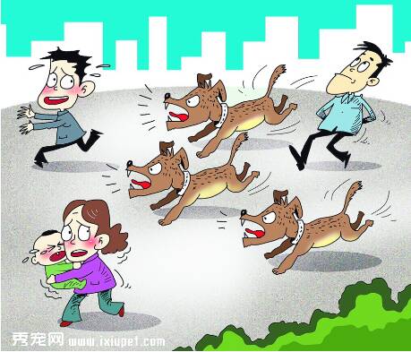 广州市养犬登记的办法