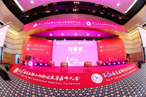 2019东西部大会开幕式暨2019中国宠物行业发展高层论坛在厦门盛大召开！