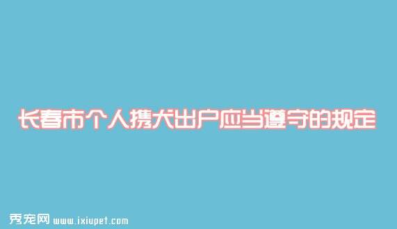 长春市个人携犬出户应当遵守的规定