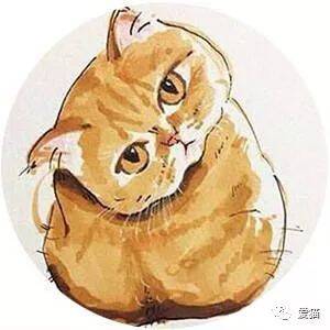 主人怕猫上厕所太无聊，特意在猫砂盆贴上报纸给它看，哈哈~