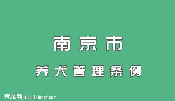 南京市养犬管理条例自2007年11月1日起施行