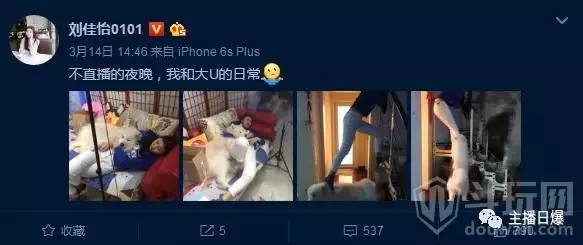 美女主播阿怡停播后晒与宠物狗生活照遭热议