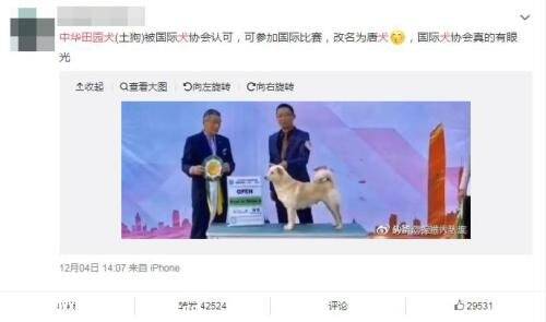 中华田园犬更名为唐犬?主办方辟谣：不能划等号