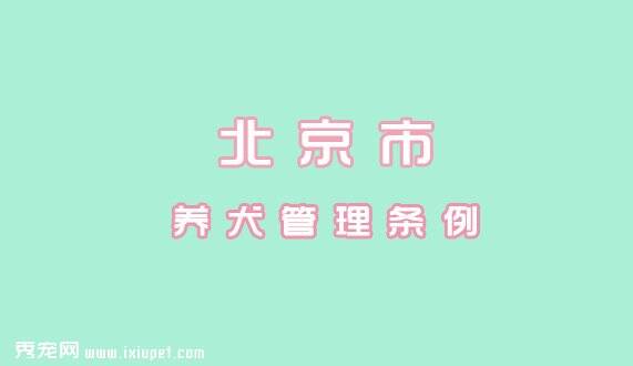 北京市养犬管理规定|自2003年10月15日起施行